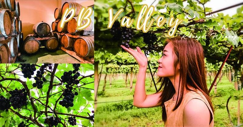 [泰國考艾] PB Valley Khao Yai winery 逛葡萄酒莊 品紅酒 | 考艾景點推薦+交通方式