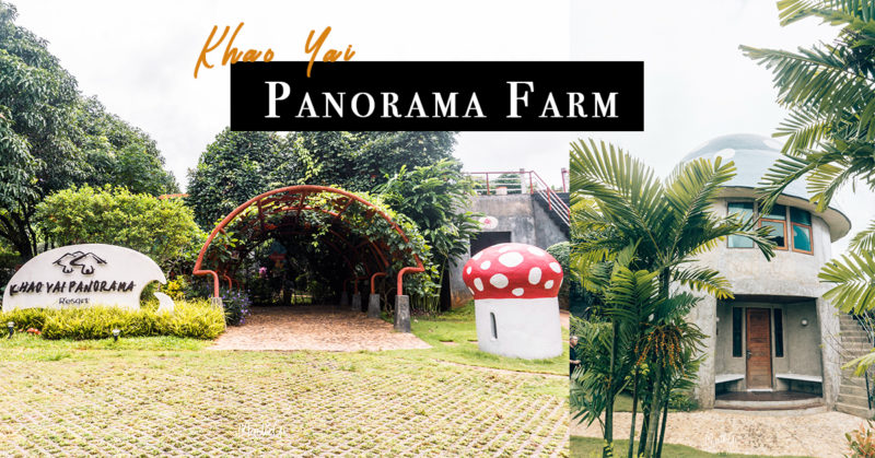 [泰國考艾] 適合親子遊的 有機蘑菇園 Panorama Farm Khao Yai | 考艾景點推薦