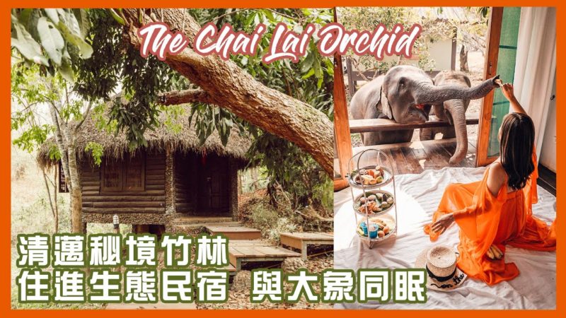 [泰國清邁] 與大象同眠 The Chai Lai Orchid 郊區自然生態民宿