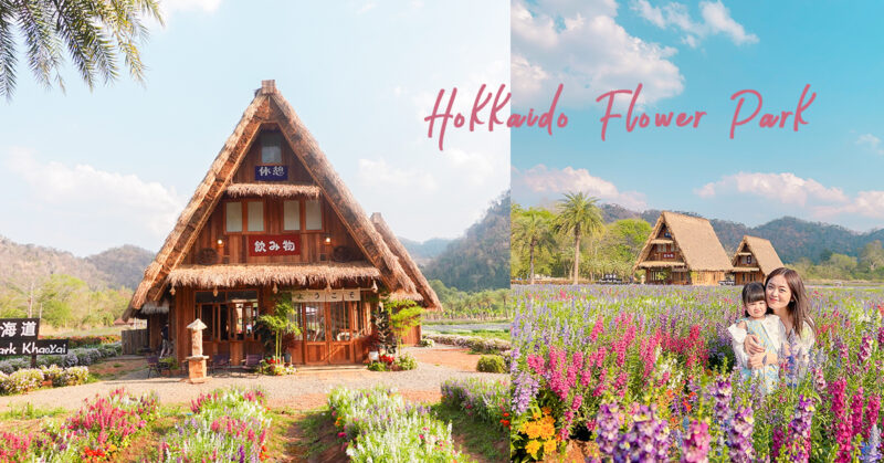 [泰國考艾] Hokkaido Flower Park Khao Yai 必去打卡景點 日系絕美花田公園超好拍