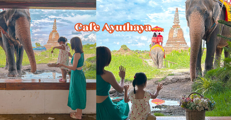 [泰國大城府] Ayutthaya自由行必去景點咖啡廳 隱藏於水上市場的餵大象體驗 Cafe Ayothaya